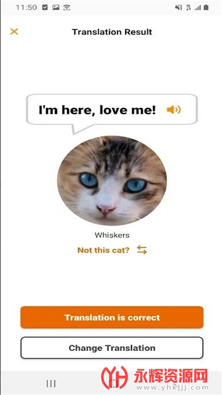 ��˵meowtalk����, ��˵meowtalk����