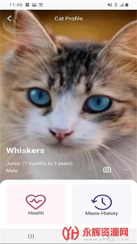 ��˵meowtalk����, ��˵meowtalk����