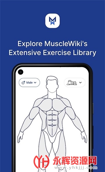 musclewiki��׿APP, musclewiki��׿APP