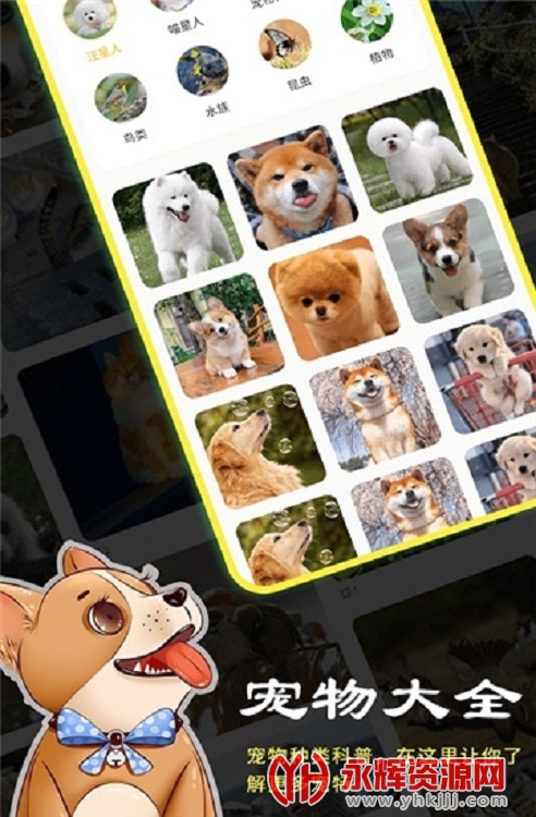 �豾��app, �豾��app