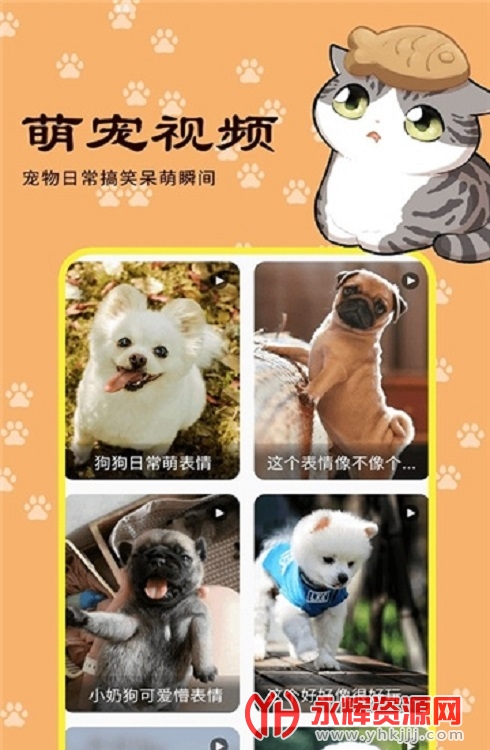 �豾��app, �豾��app