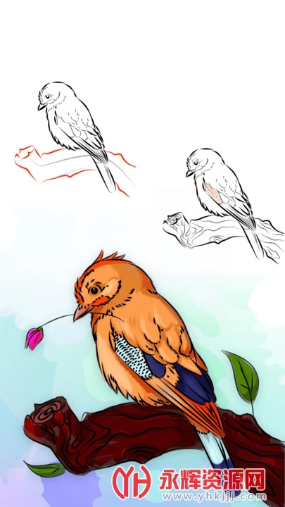 ��ɻ�ʦapp���عٷ���, ��ɻ�ʦapp���عٷ���