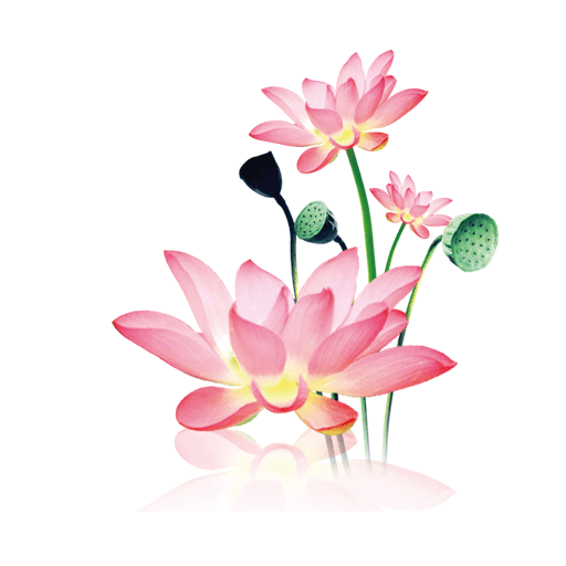 ˮī�����������ֻ���v1.0.8