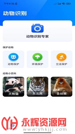 �ٴ�ʶ����