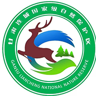 ����Ѳ��app�������°�v1.2.4�ٷ���