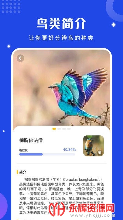 ���﷭������Ѱ�, ���﷭������Ѱ�