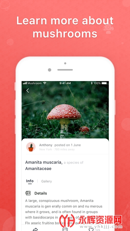 Ģ��ʶ��app, Ģ��ʶ��app