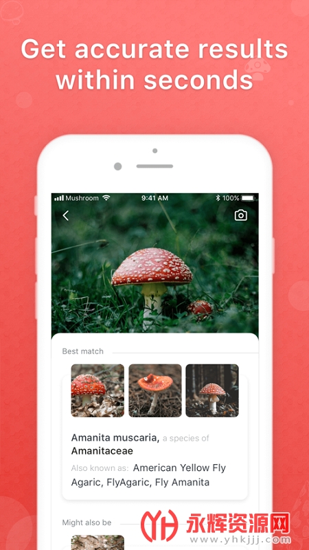 Ģ��ʶ��app, Ģ��ʶ��app