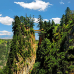 ��������app��׿�ֻ���v3.2.5���°汾