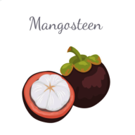 ɽ������v3.1.1 ��׿��