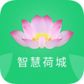 app׿v1.5.3°汾