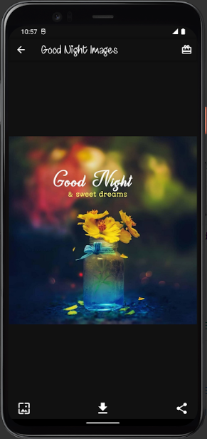 Good Night Love Messages appscreenshot3