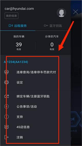 Bluelink°汾, Bluelink°汾