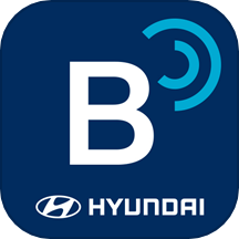 Bluelink°汾v3.15