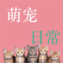ȳճapp׿v1.1°汾