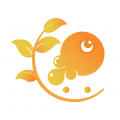 Ӣapp׿v2.3.15°汾