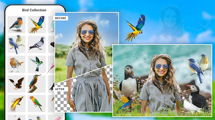 Bird Photo Editor Pro 2024