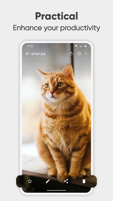 simple gallery apk Latest versionscreenshot0