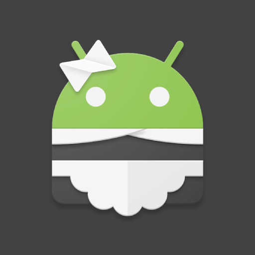 sd maid pro apk latest version5.6.3