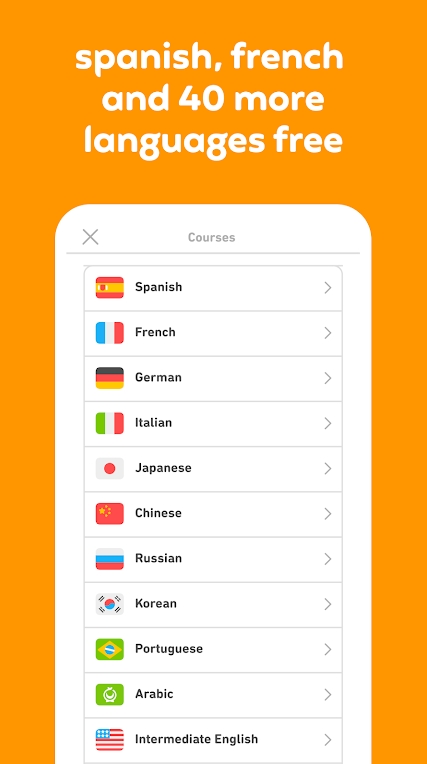 Duolingo, Duolingo