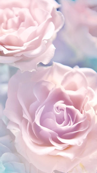 Rose Live Wallpaperscreenshot2